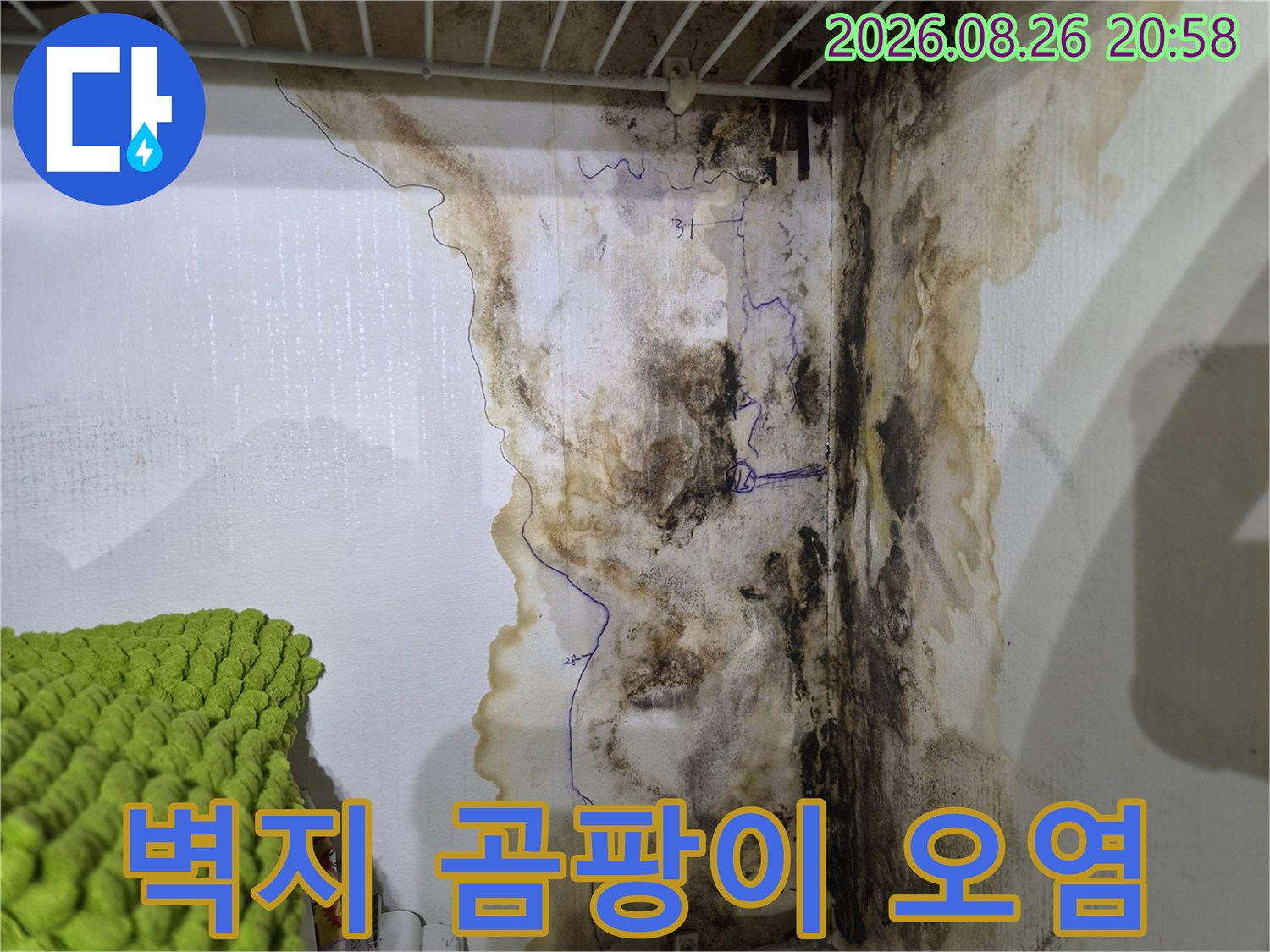 누수가 진행된-벽면의 젖은 자국과 곰팡이 발생 부위