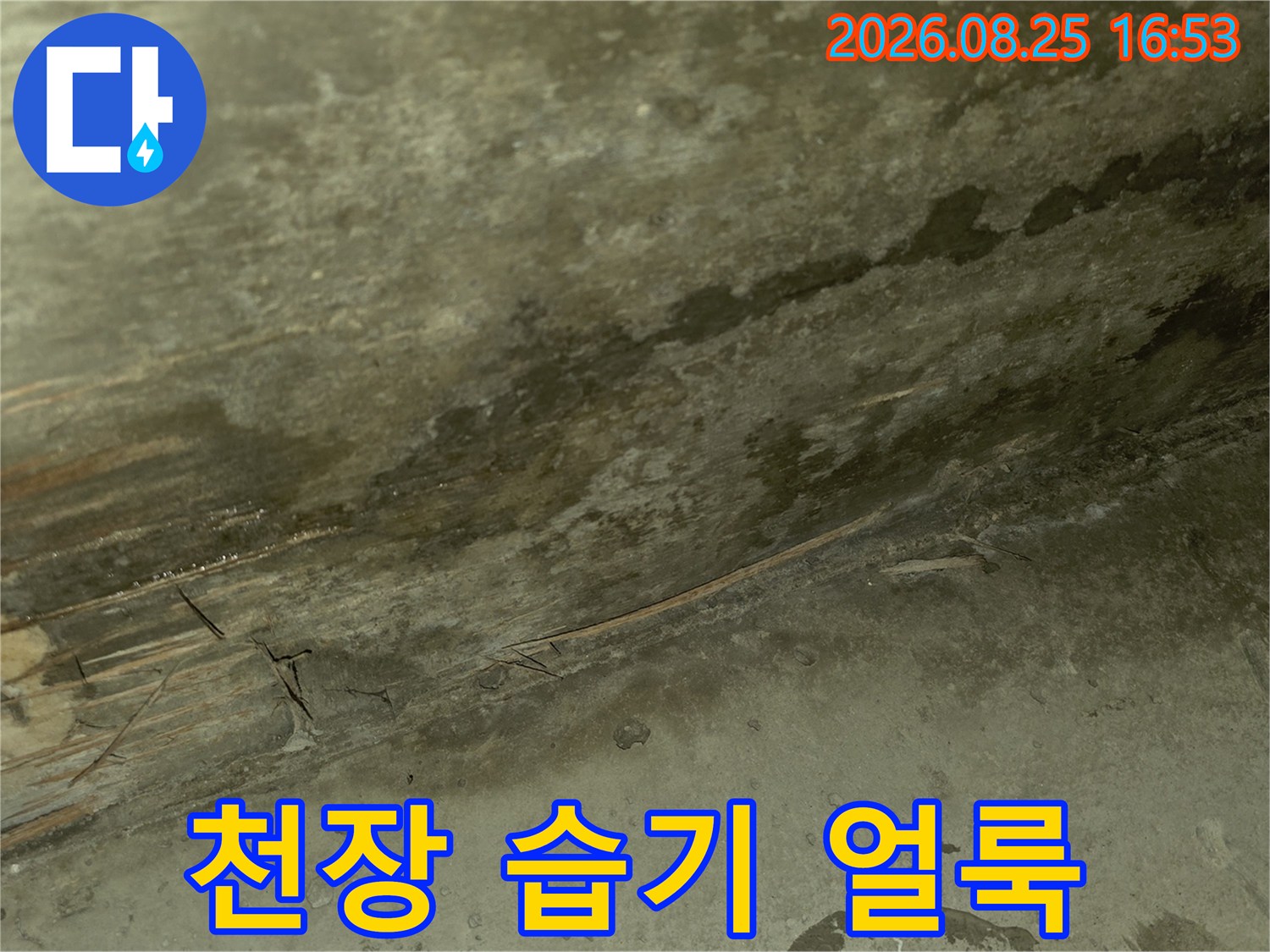 습기가 스며든-천장의 검은 곰팡이와 물자국