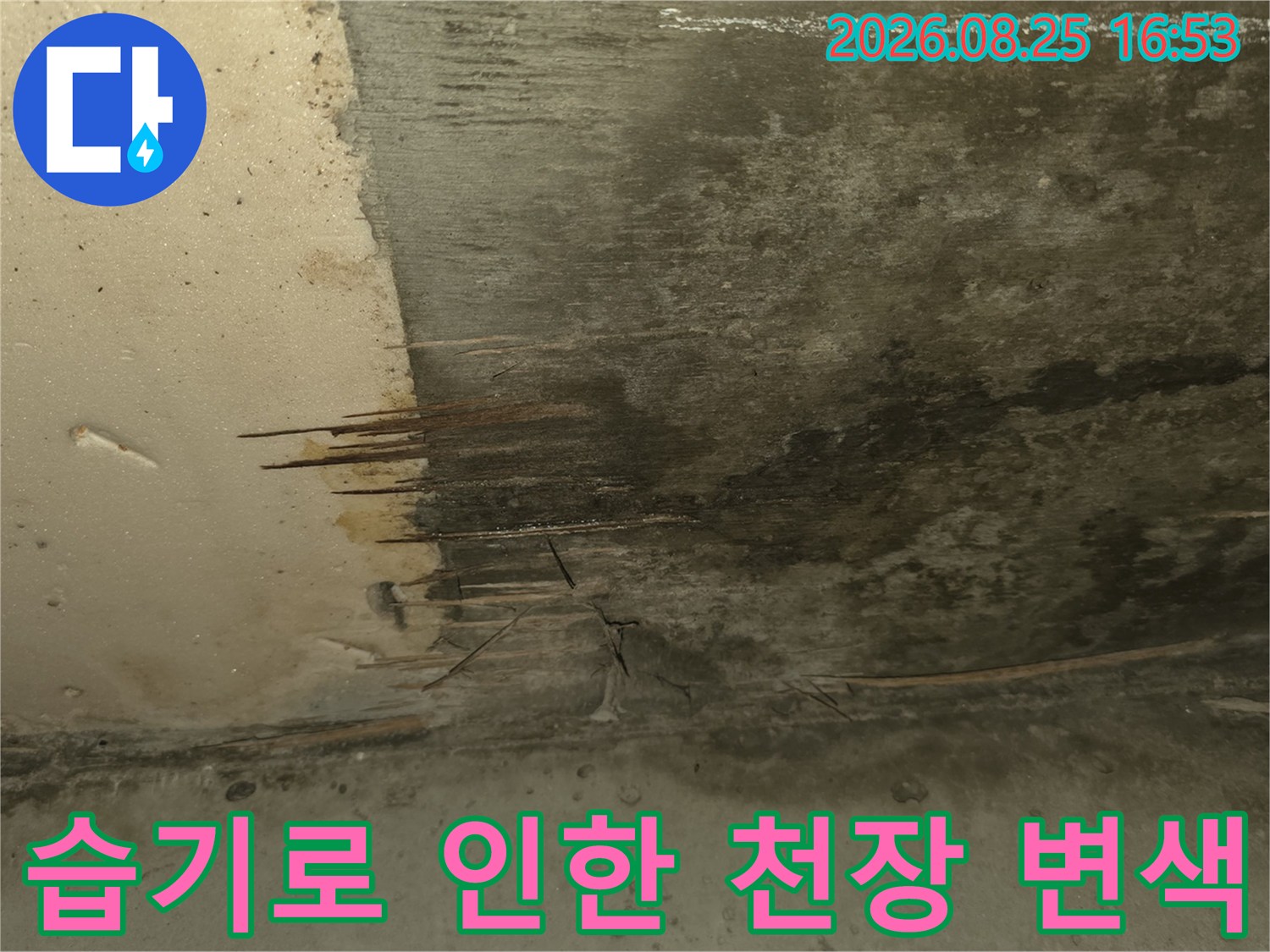 습기가 침투하여 벽면이 어둡게 변하고 곰팡이가 발생한 모습입니다.