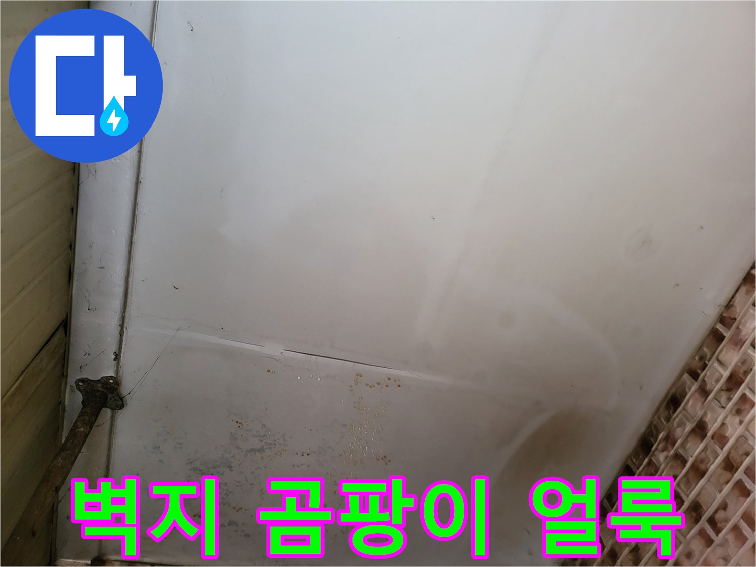 보령 남포면 현장-천장 구석에 발생한 곰팡이 흔적