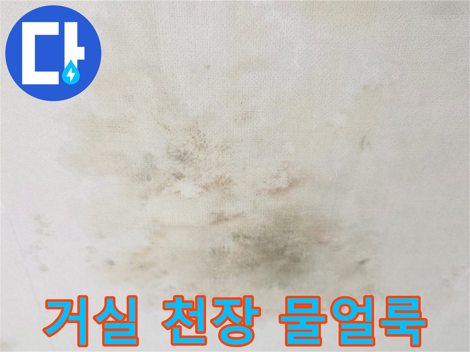 거실-천장-부분적인-물얼룩과-곰팡이-발생-상태