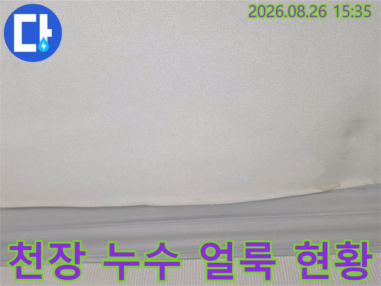 경기 광주 송정동 빌라 천장 벽지 누수 흔적 및 곰팡이 발생 부위