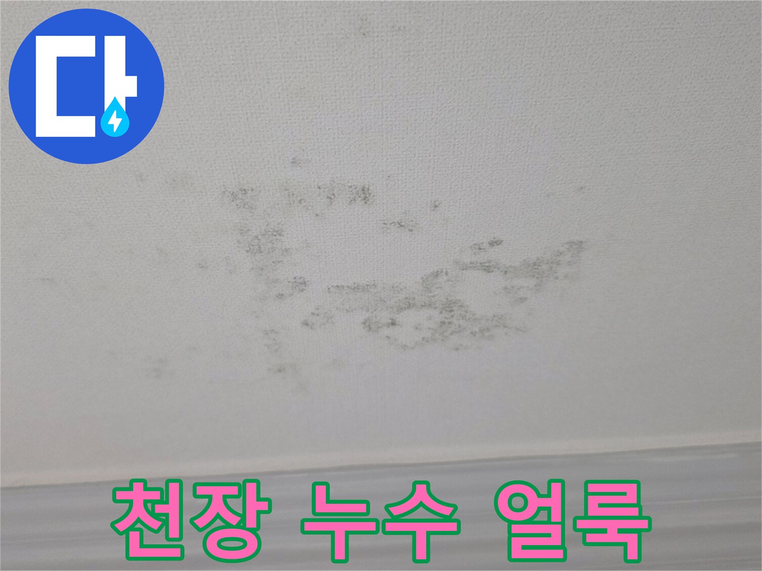 곰팡이가 피어있는 거실 천장의 오염된 모습