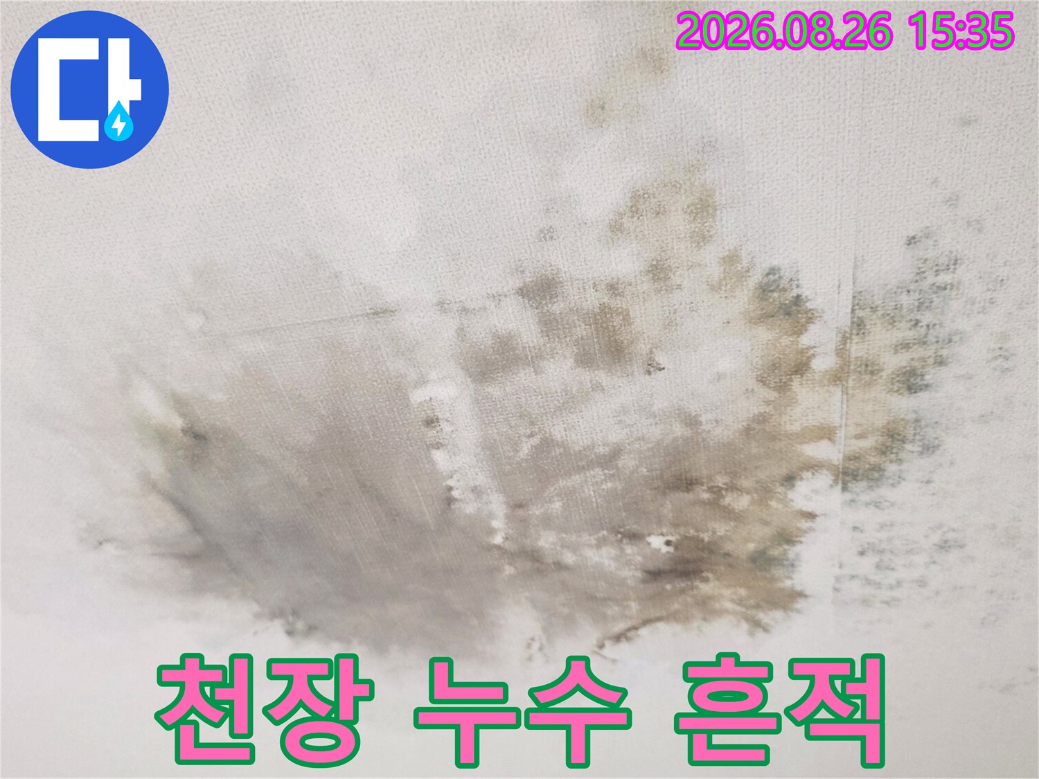 광범위하게 발생한 천장 누수 얼룩과 곰팡이 오염 상태