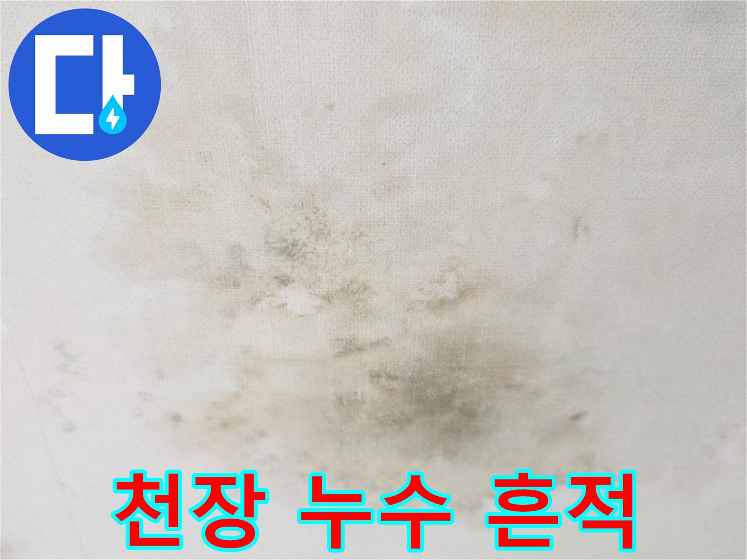 넓게 퍼진 천장 물 얼룩과 습기 침투 흔적