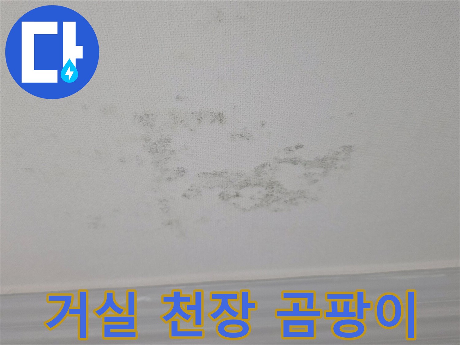 누수로 인해 곰팡이가 발생한 거실 천장 내부
