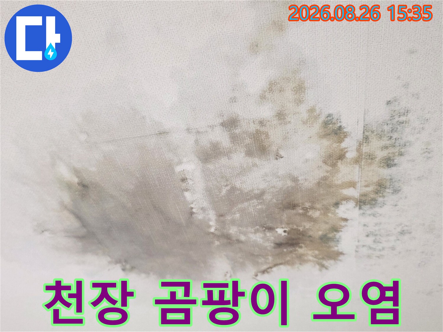 물에 젖어 변색된 천장 마감재와 곰팡이가 피어있는 모습