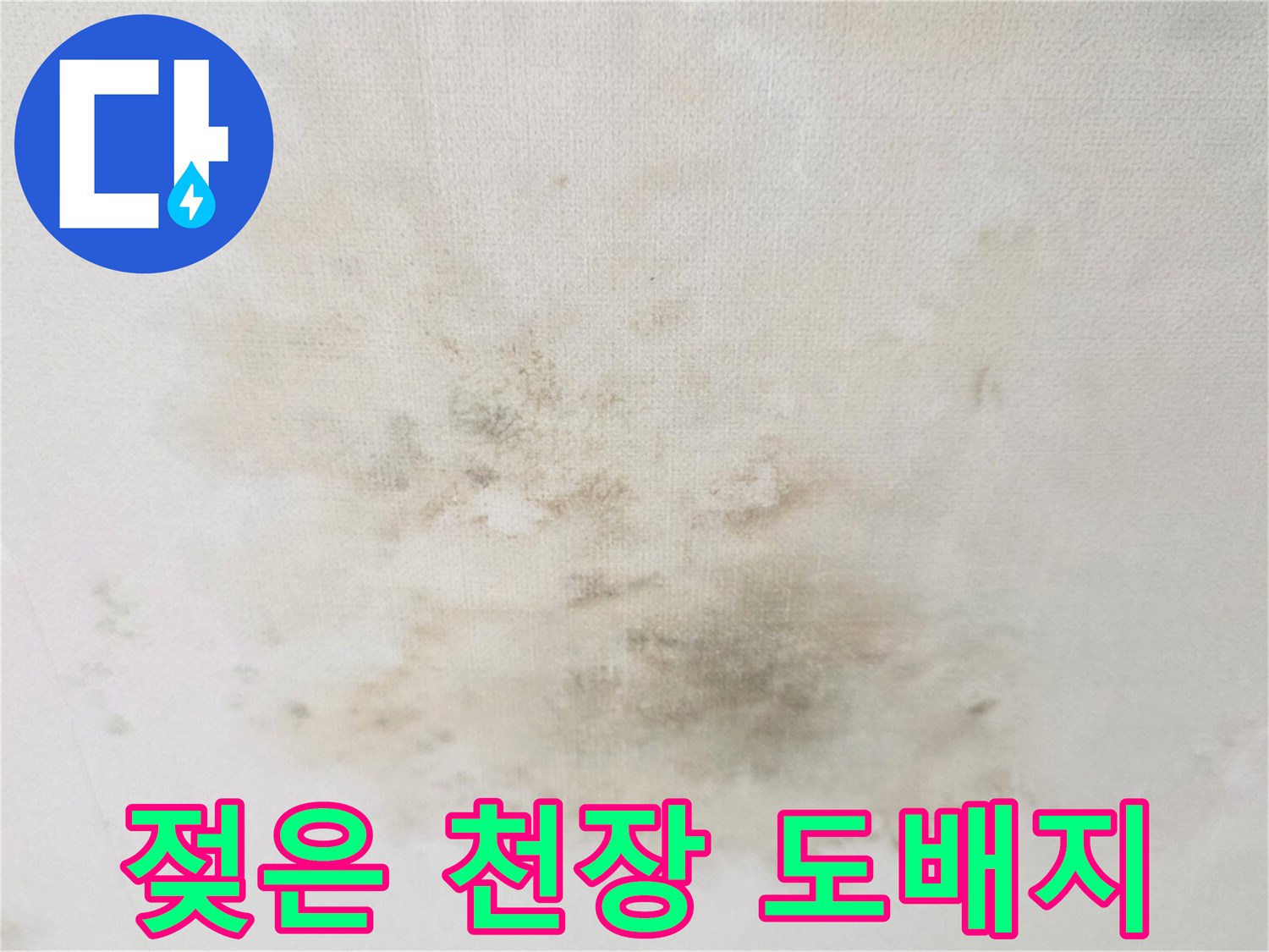 습기에 의해 변색된 거실 천장의 누수 부위