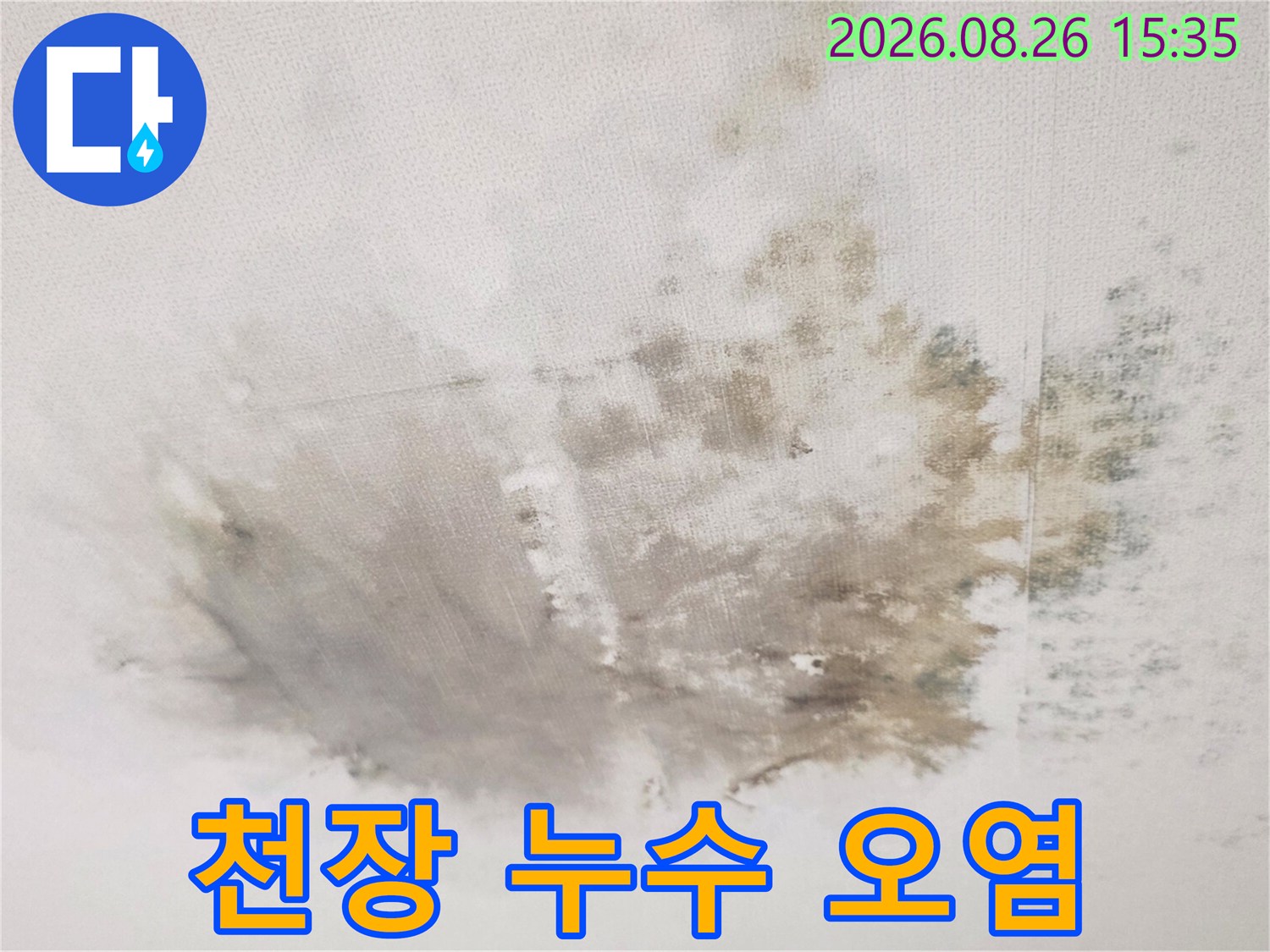 습기와 곰팡이로 인해 변색된 천장 벽지 부분