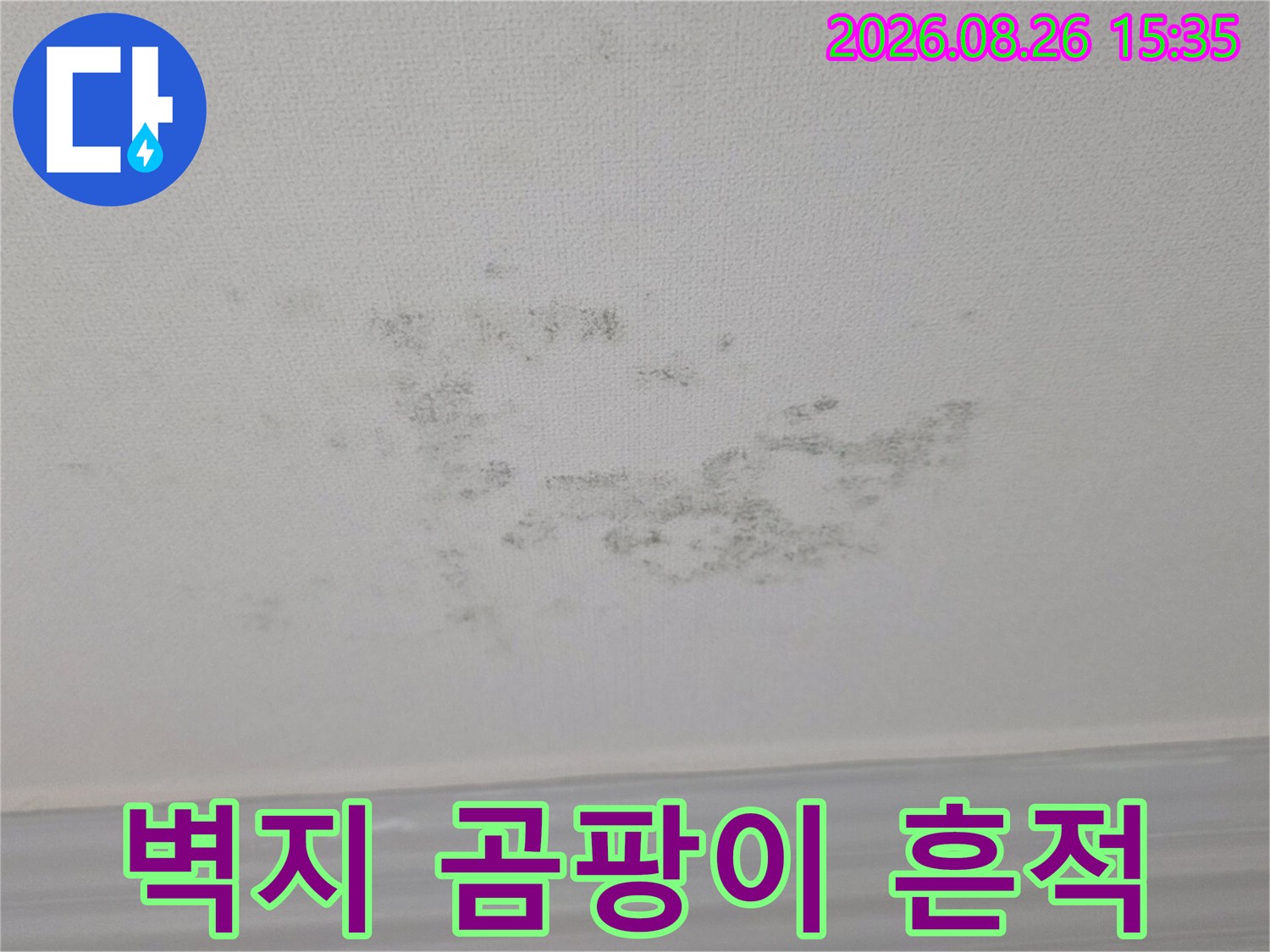 천장 벽지에 나타난 검은색 곰팡이와 습기 오염