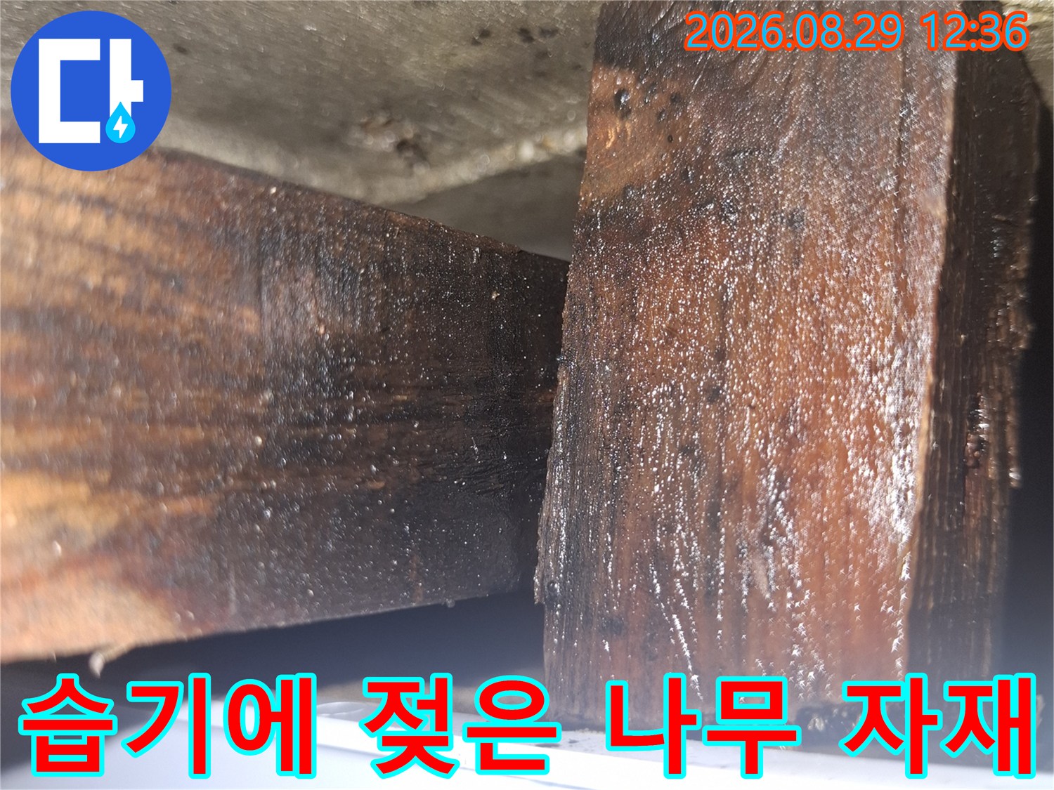 누수로 인해 검게 변한 싱크대 하부 목재 부위