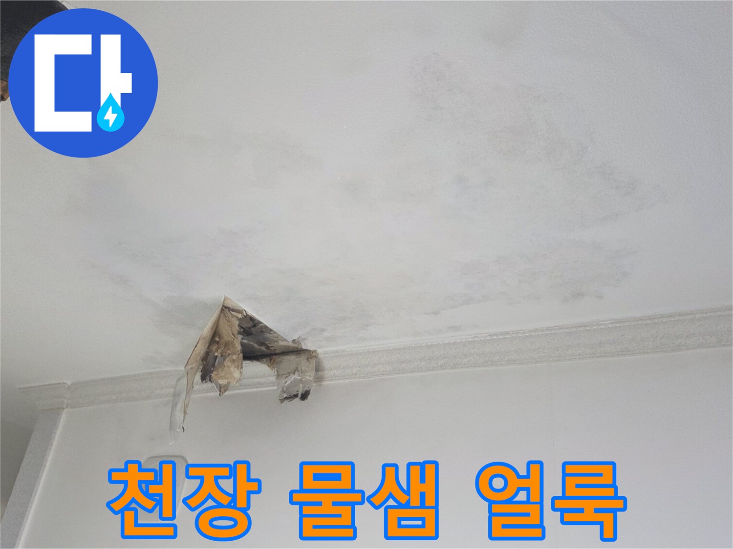 광명 하안동 아파트-천장 부분에 발생한 젖음 흔적과 얼룩 상태