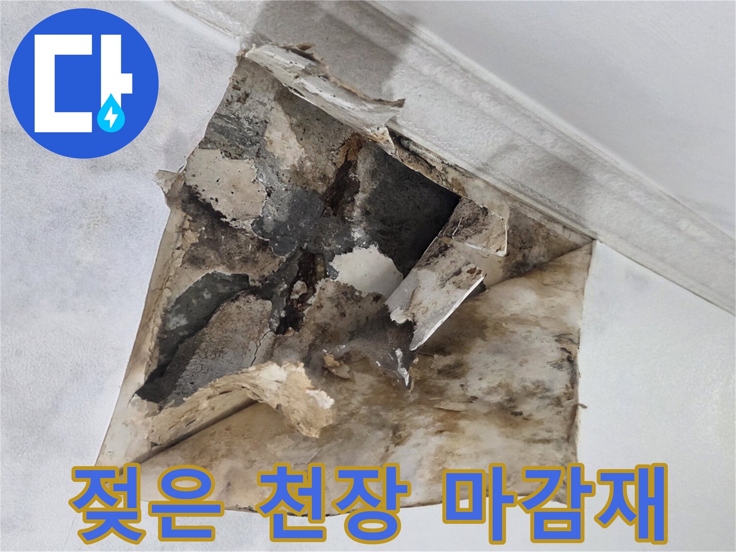 물샘 현상이 진행된-천장 내부의 곰팡이 흔적
