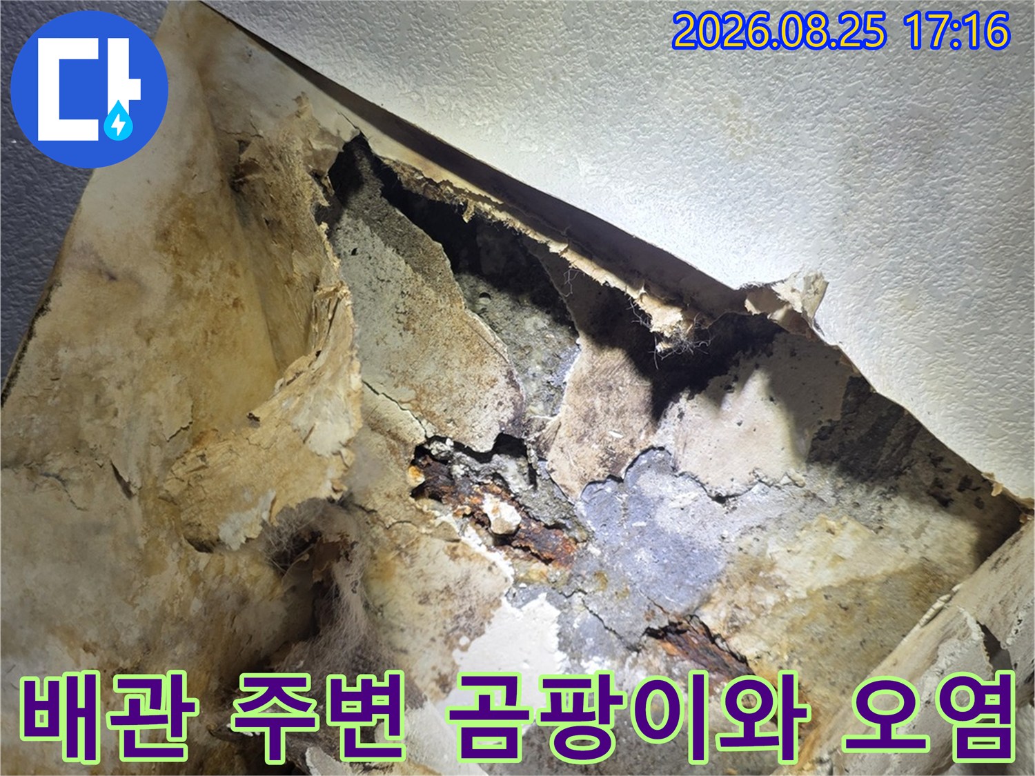 배관 주위로 번진 물기 자국과 곰팡이 오염 상태
