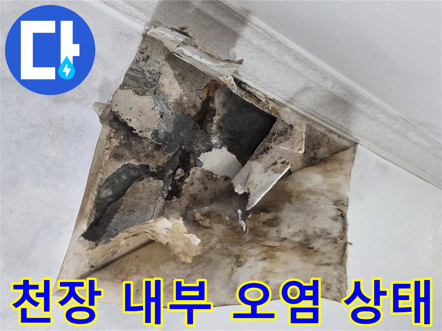 습기 침투로 인해-훼손된 천장 마감재와 곰팡이