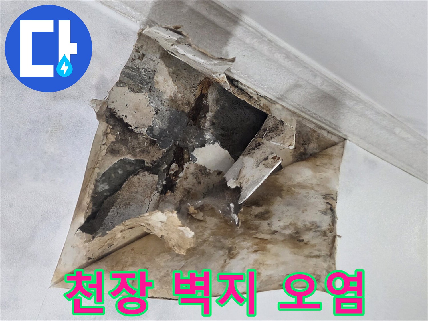 하안동-주택-천장-누수로-인한-벽지-곰팡이-상태