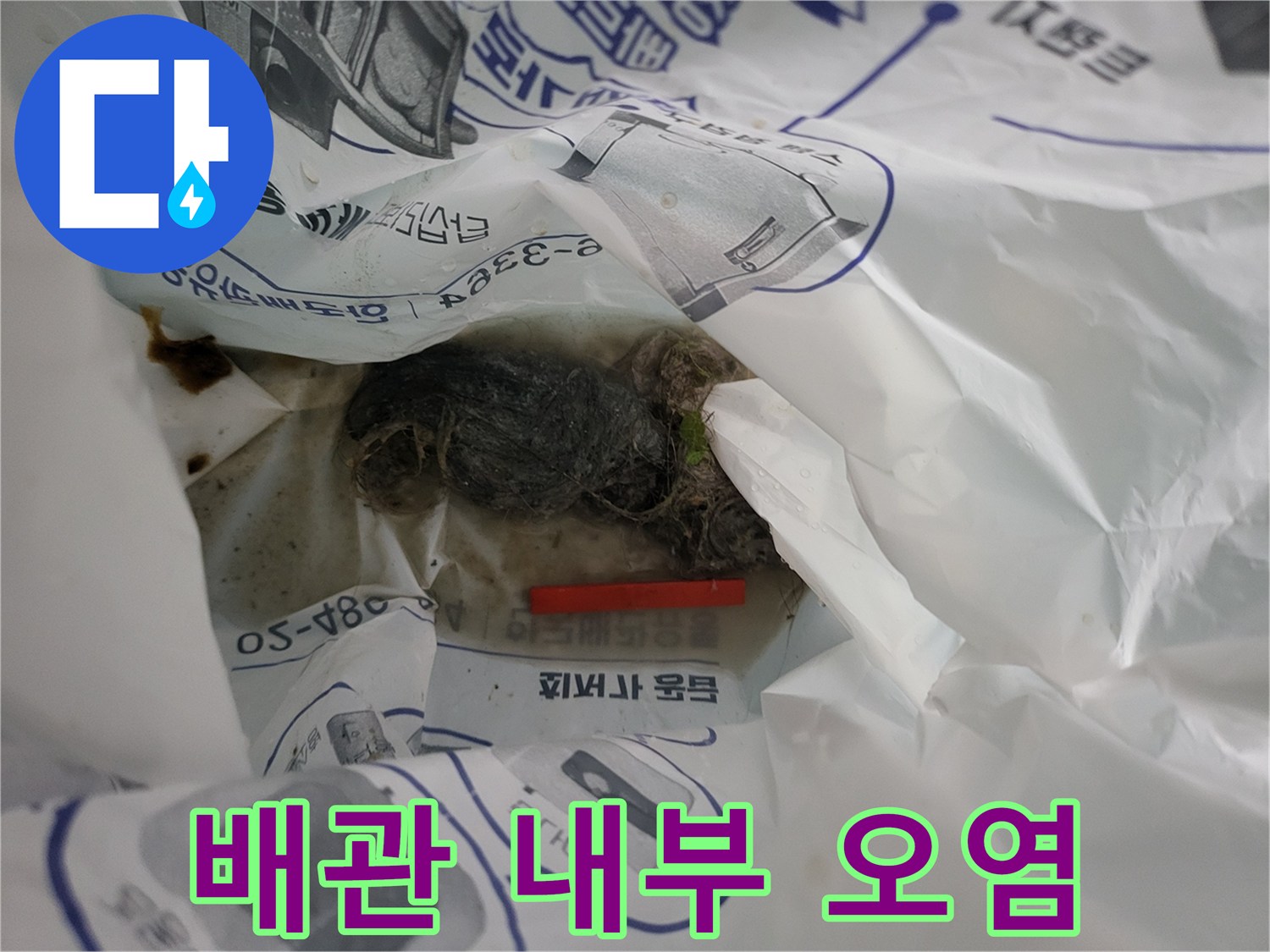 배수관 내부에 뭉쳐있는 머리카락과 이물질