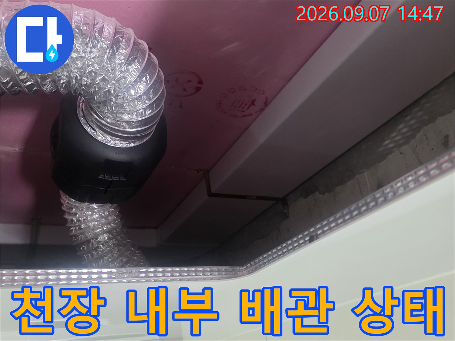 분홍색 천장 마감재와 연결된 투명 배관 장비 모습입니다.