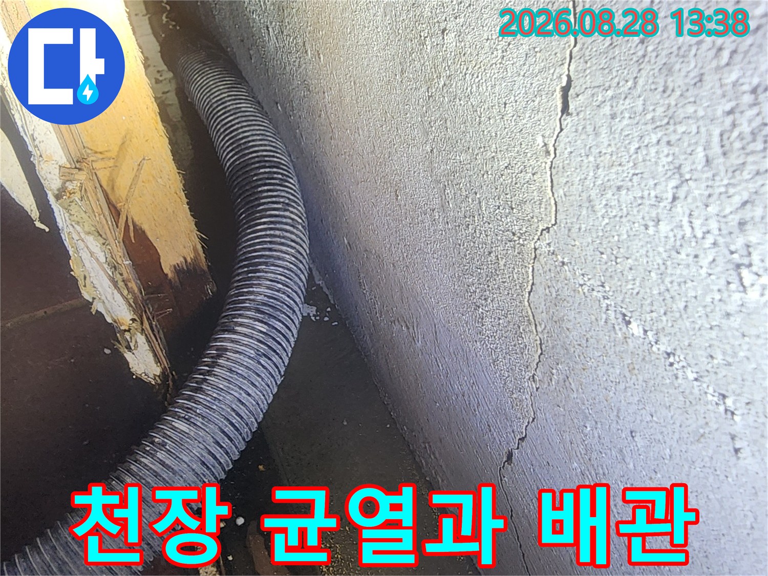 성동구 도선동 지하 공간의 천장 균열 부위와 노출된 배관 모습