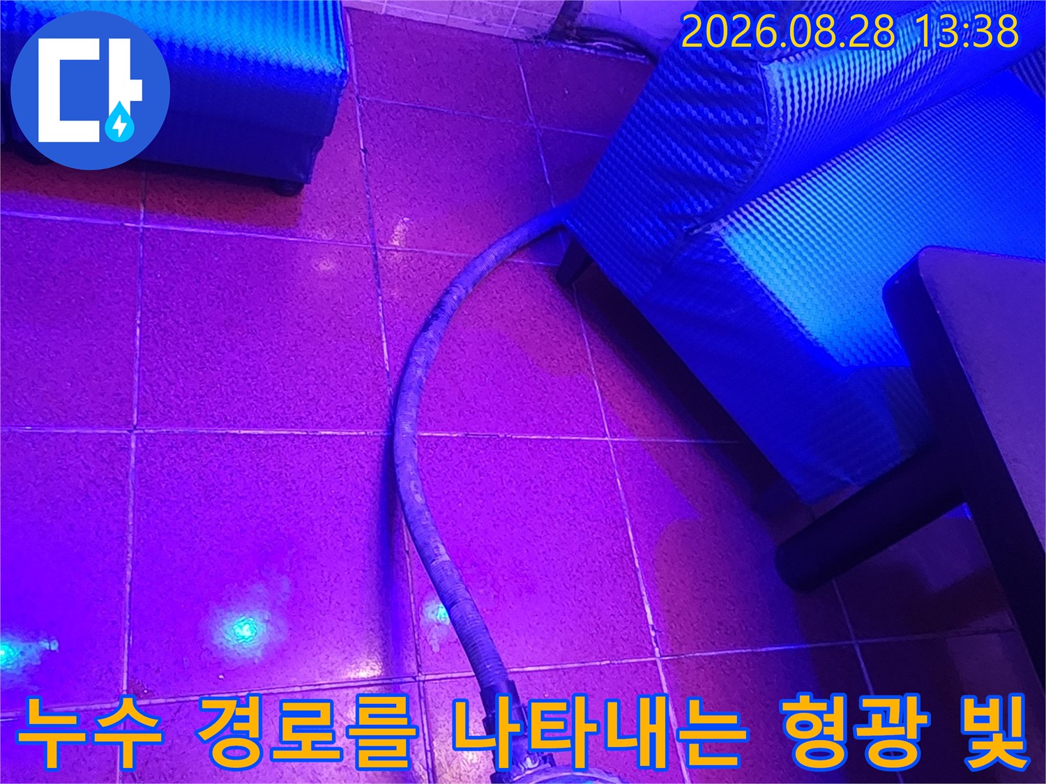 자외선 조명-타일 틈새에서 발견된 누수 지점의 빛