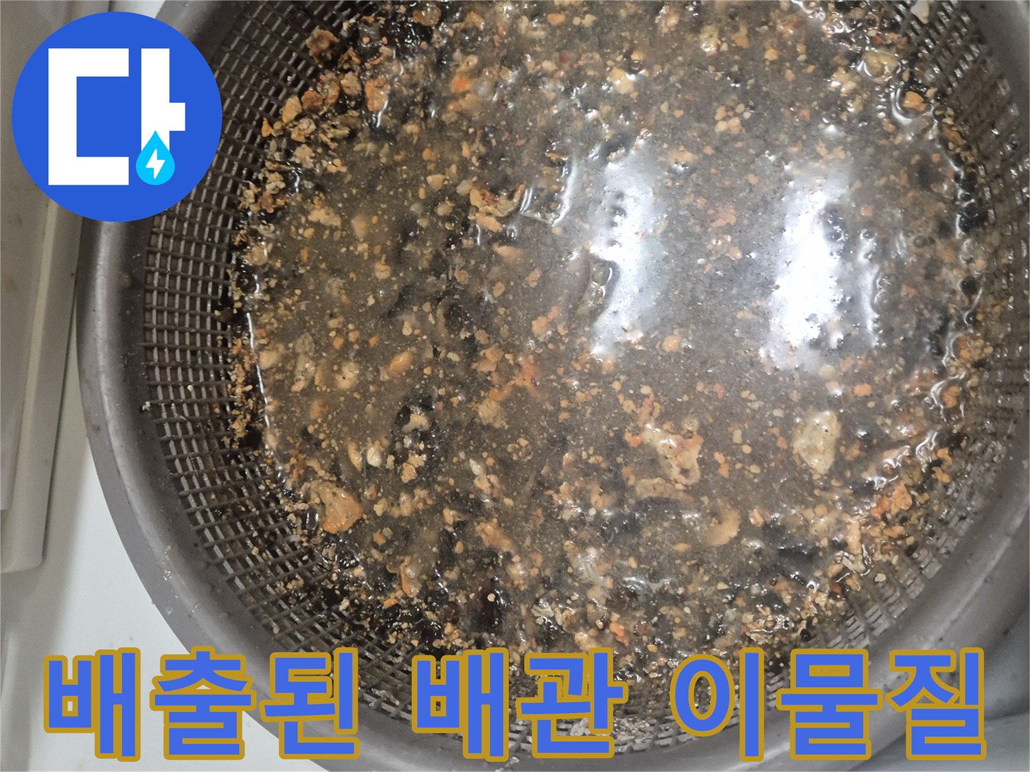 싱크대 배관에서-뽑아낸 기름 및 음식물 찌꺼기