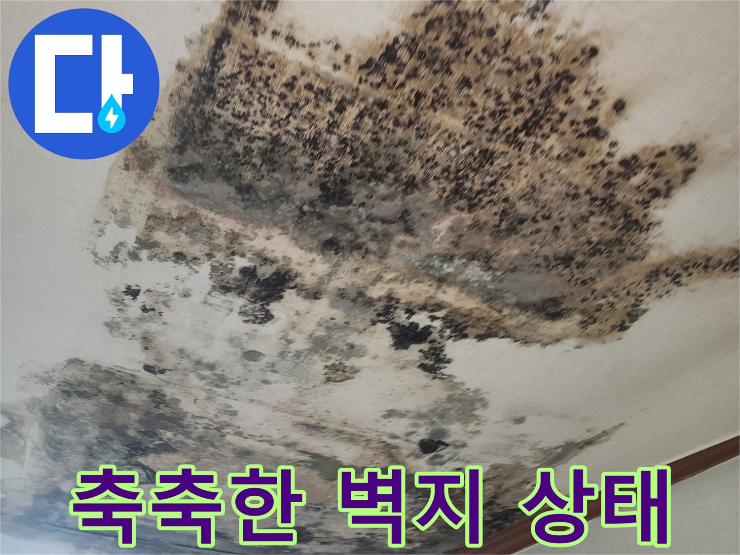 물기를 머금어 검게 변한 거실 천장 벽지 부위