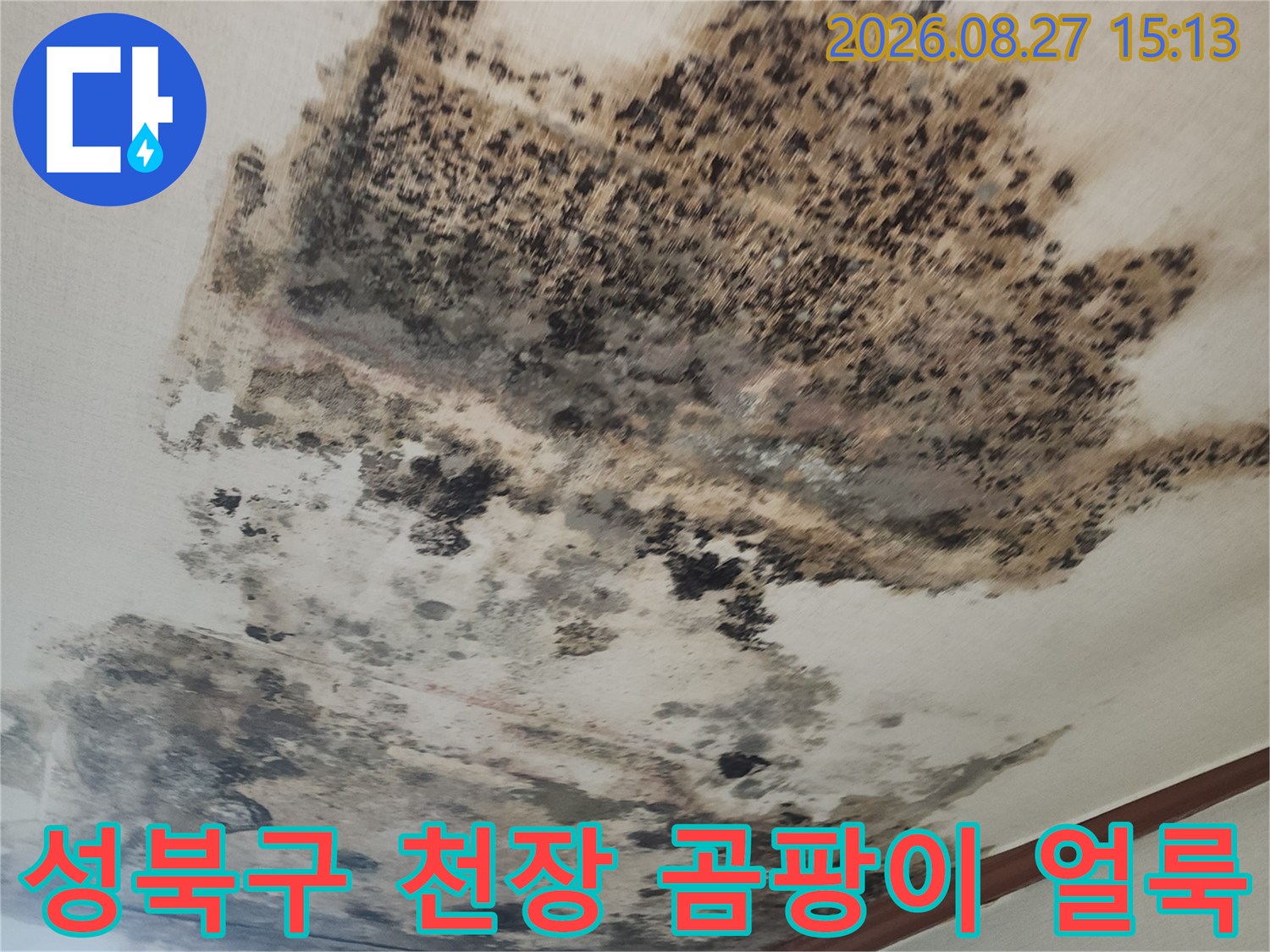 성북구 아파트 거실 천장에 발생한 심각한 검은색 곰팡이와 누수 흔적