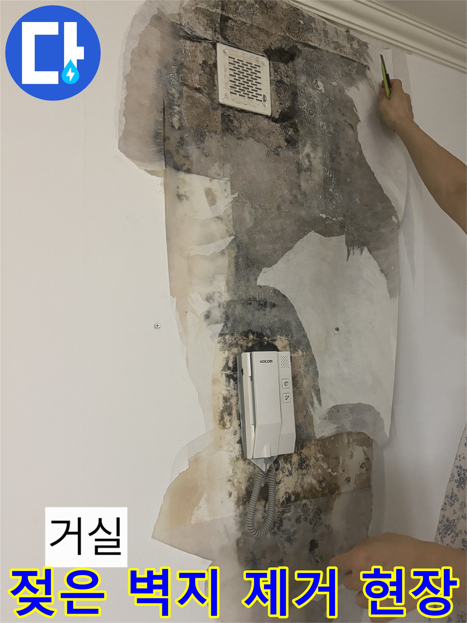 노원구 상계동-벽지를 제거하여 드러난 젖은 벽면과 오염 부위