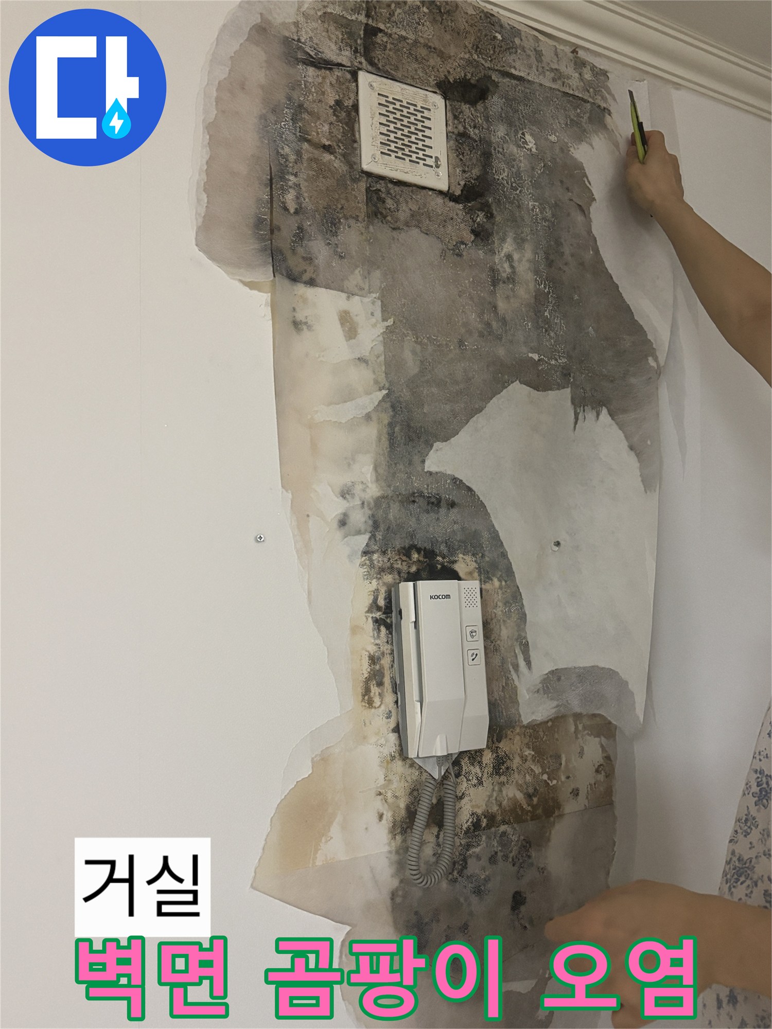 상계동 아파트-인터폰 주변 벽면의 곰팡이 및 습기 오염 부위