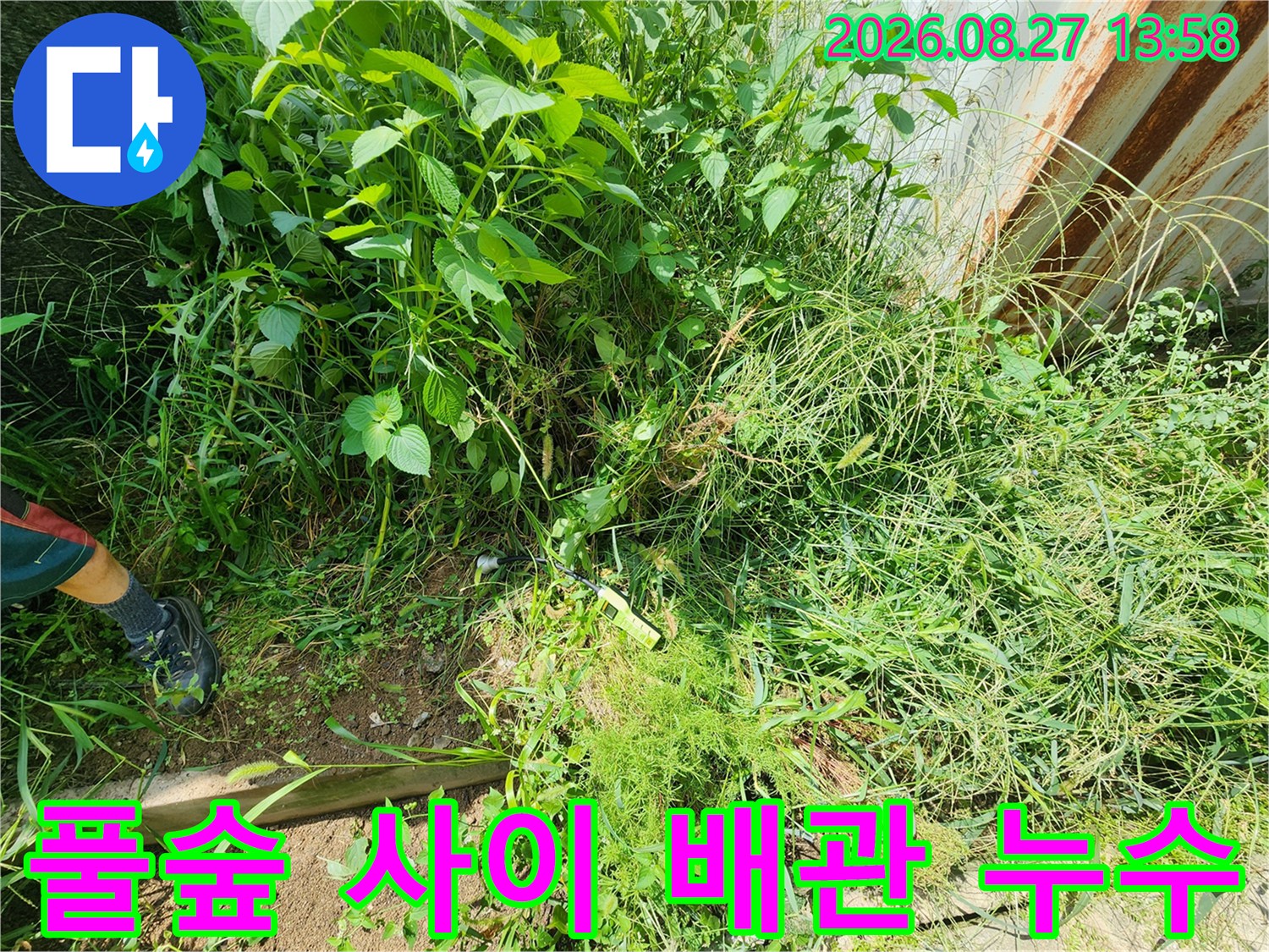 양주 남면-우거진 풀 아래에서 발견된 상수도 누수 지점입니다.