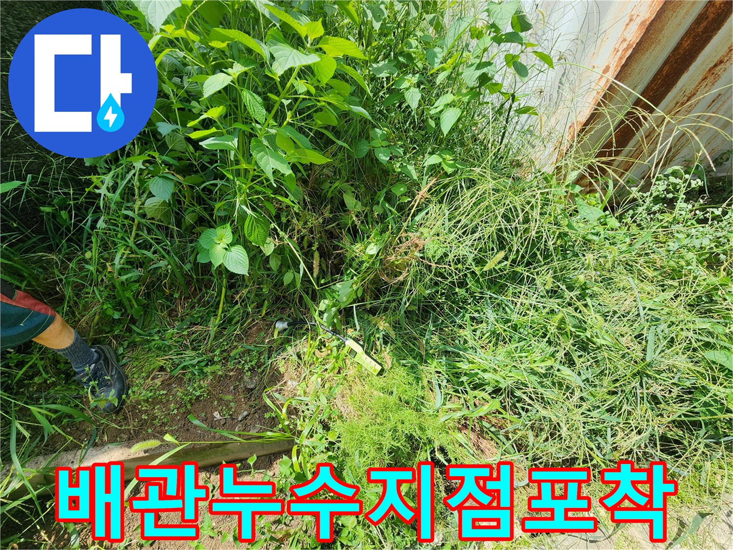 풀숲사이-매설된 배관의 누수 위치를 찾는 작업 현장