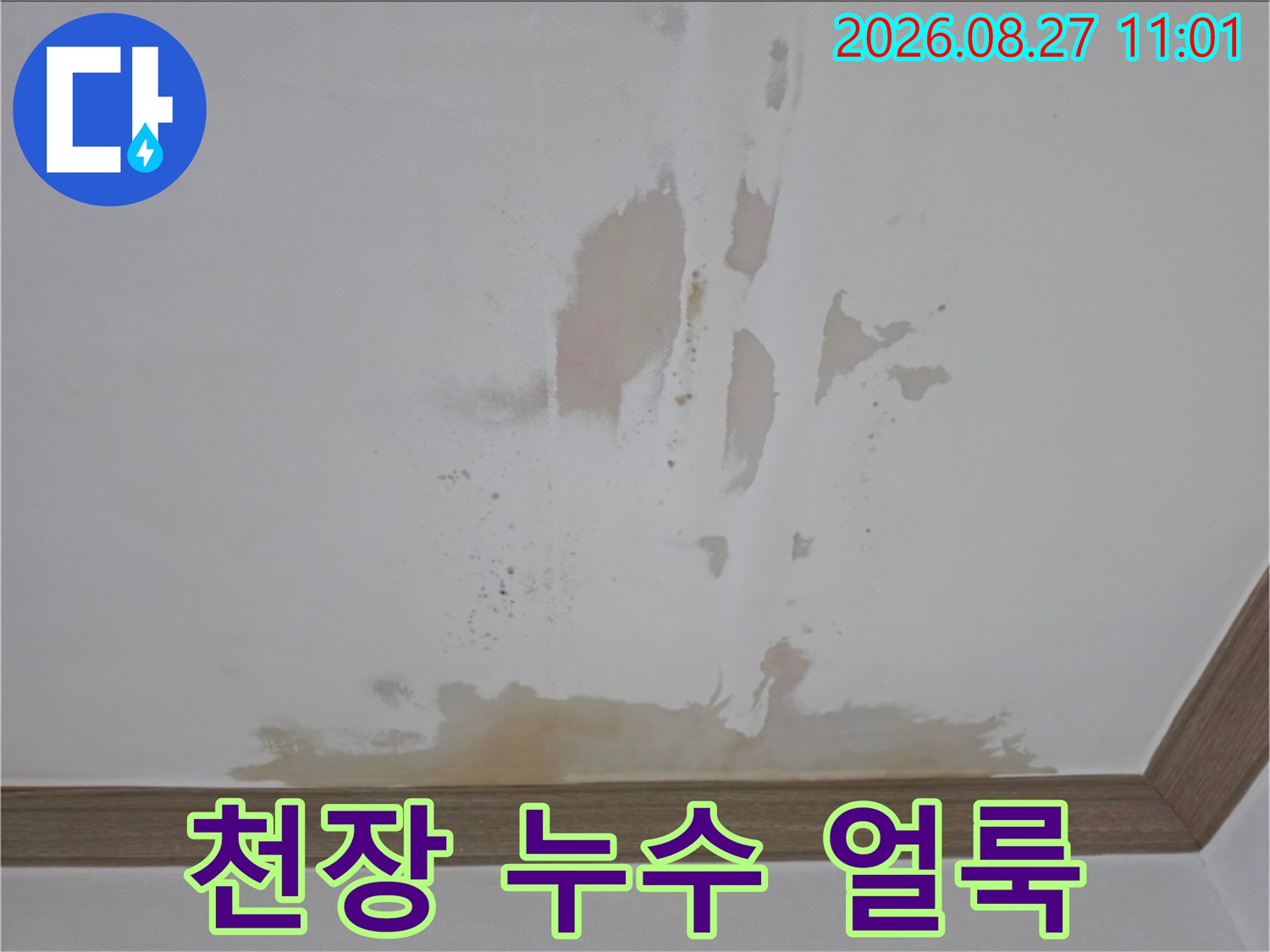 금산군 금산읍 아파트 천장에 발생한 물샘 흔적과 변색된 벽지 상태