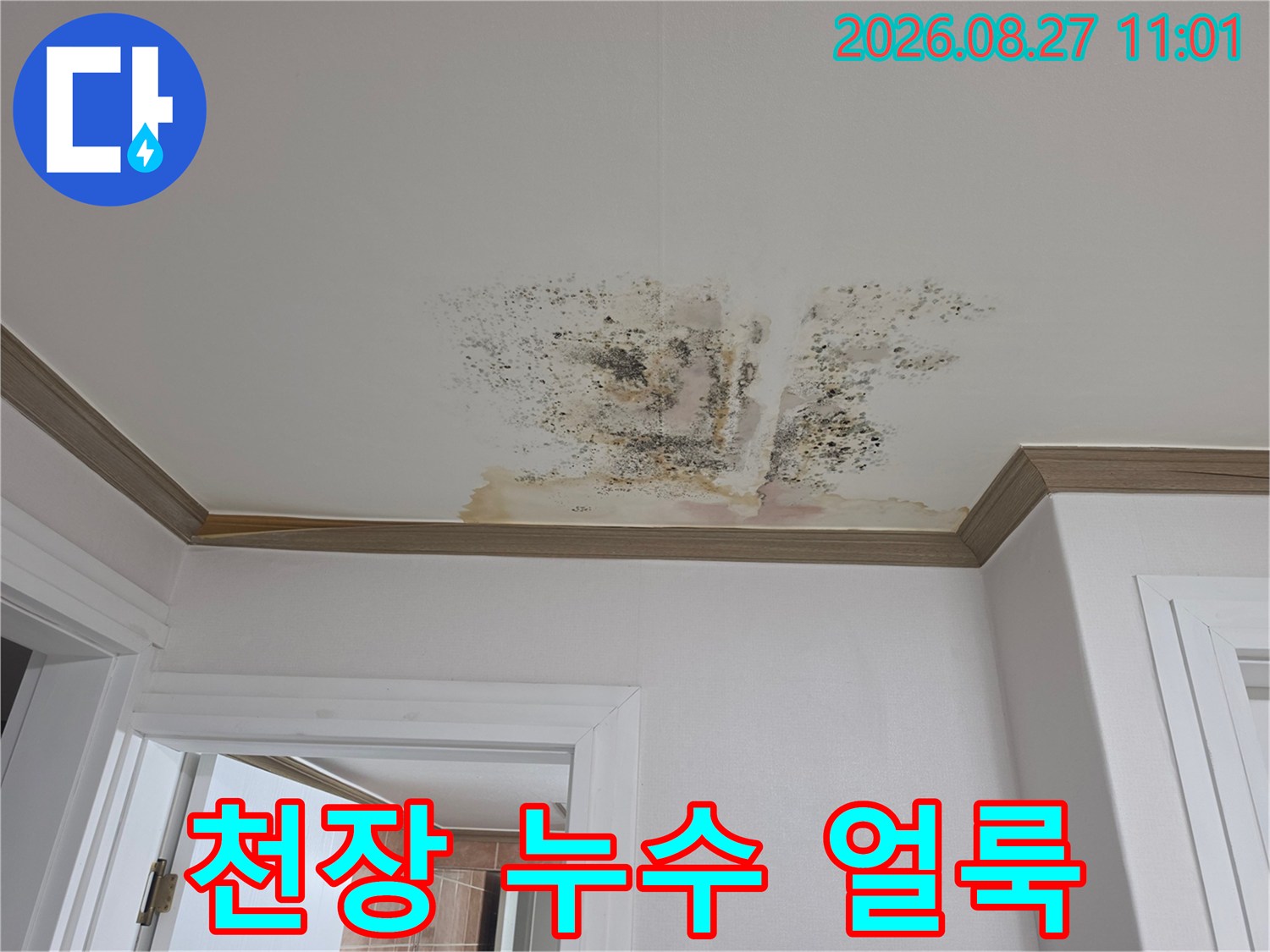 금산읍 아파트 천장에 발생한 누수 흔적과 곰팡이 오염 상태