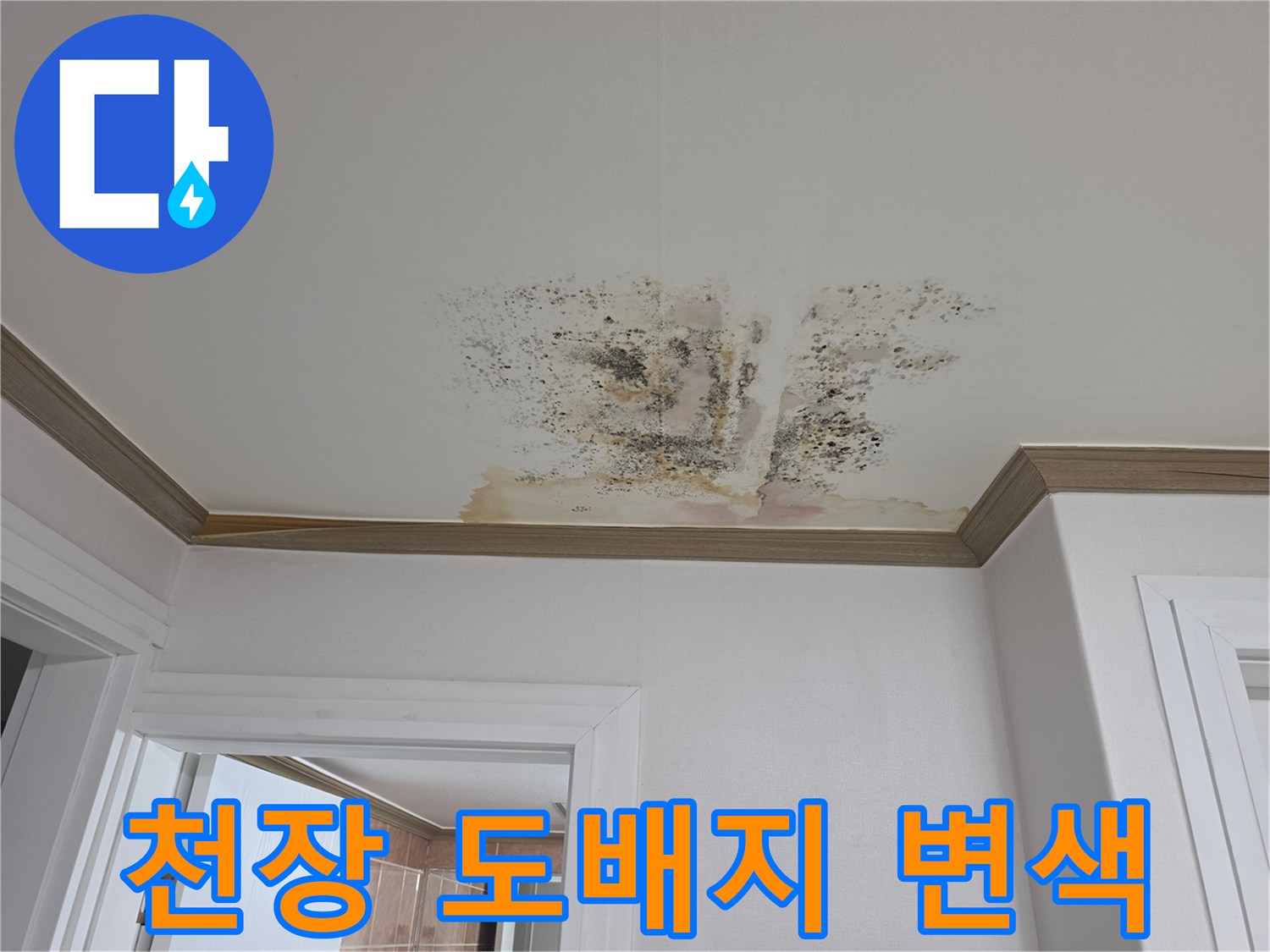 물샘으로 인해 훼손된 천장 도배지의 광범성 오염 상태
