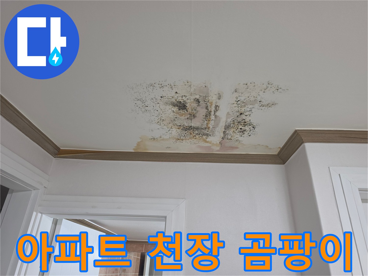 천장 도배지에 나타난 누수 흔적과 검은 곰팡이