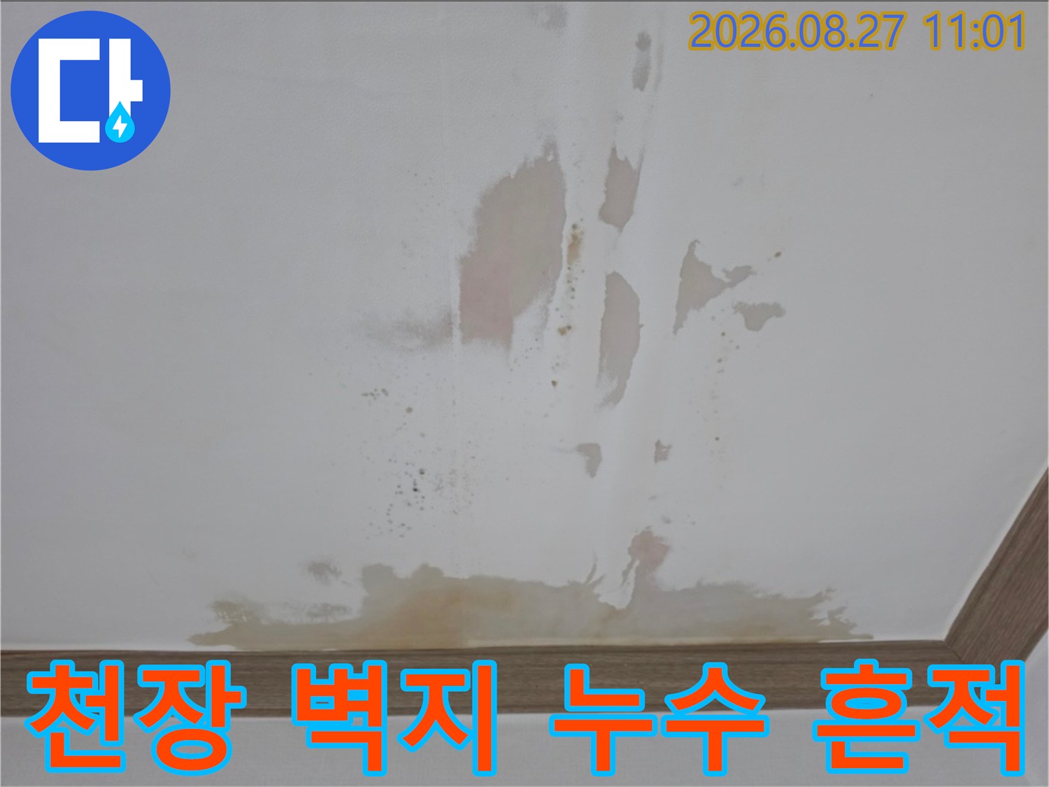 천장 마감재에 발생한 불규칙한 형태의 누수 얼룩과 변색