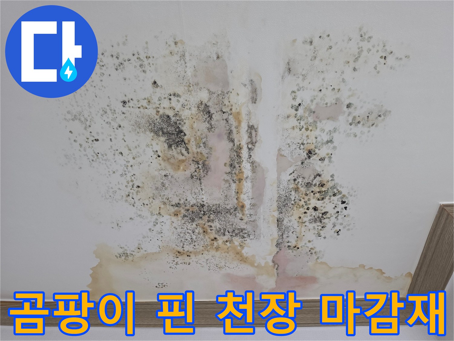 천장 면적의 상당 부분을 차지한 곰팡이와 물자국