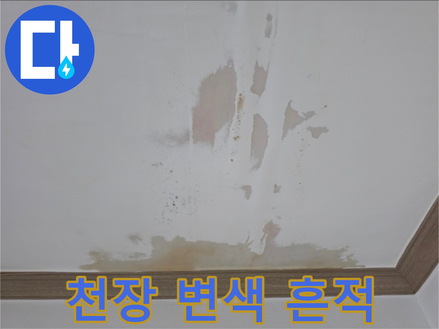 천장 벽면에 나타난 불규칙한 모양의 물 번짐 현상