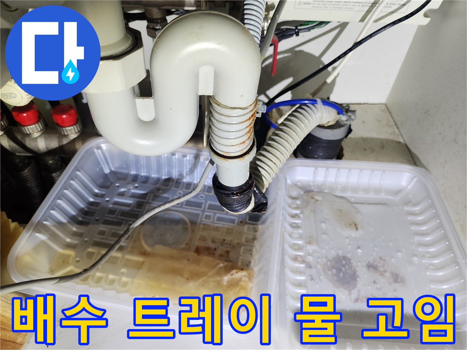 싱크대 하부-트레이에 고인 오수와 습기