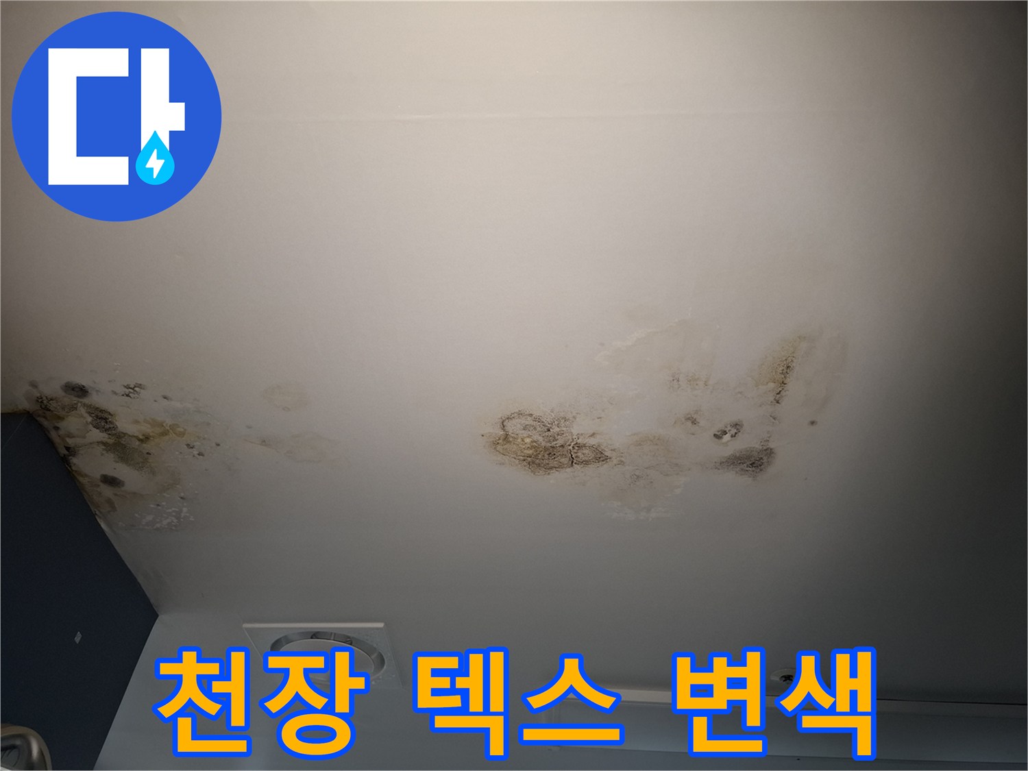 누수로 인해 갈색으로 변색되고 곰팡이가 생긴 천장 텍스 부위