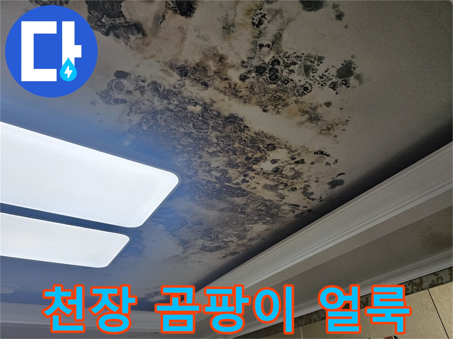 아파트 거실 천장에 넓게 퍼진 검은 곰팡이와 물에 젖은 흔적