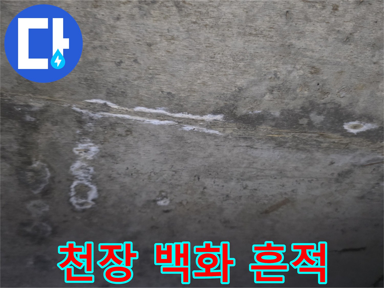 콘크리트 천장-하얀색 백화 현상이 나타난 모습