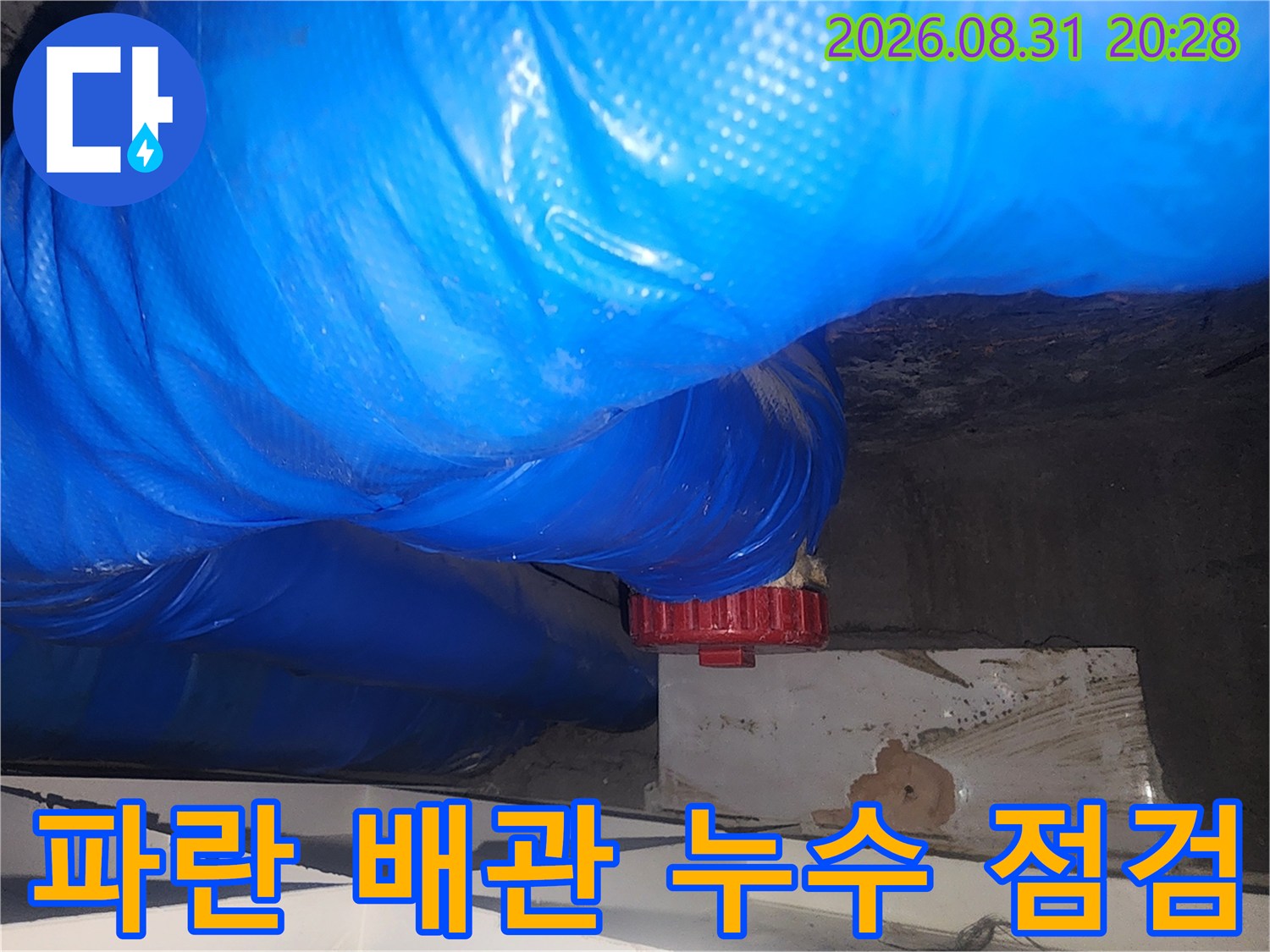 천장에 노출된 파란색 하수관과 붉은 부품의 누수 점검 상태입니다.