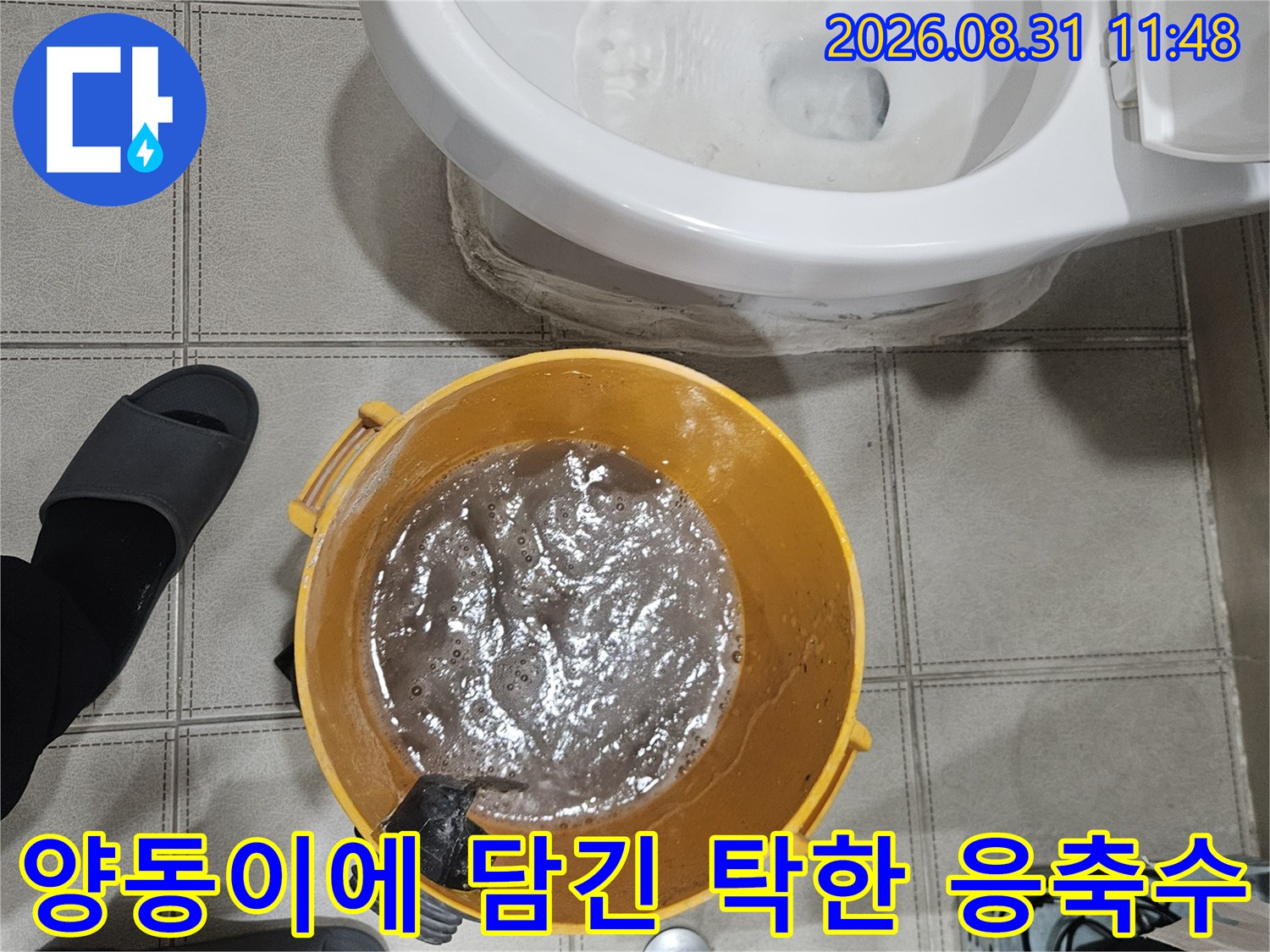 에어컨 배관 막힘으로 인해 양동이에 받아진 오염된 물입니다.