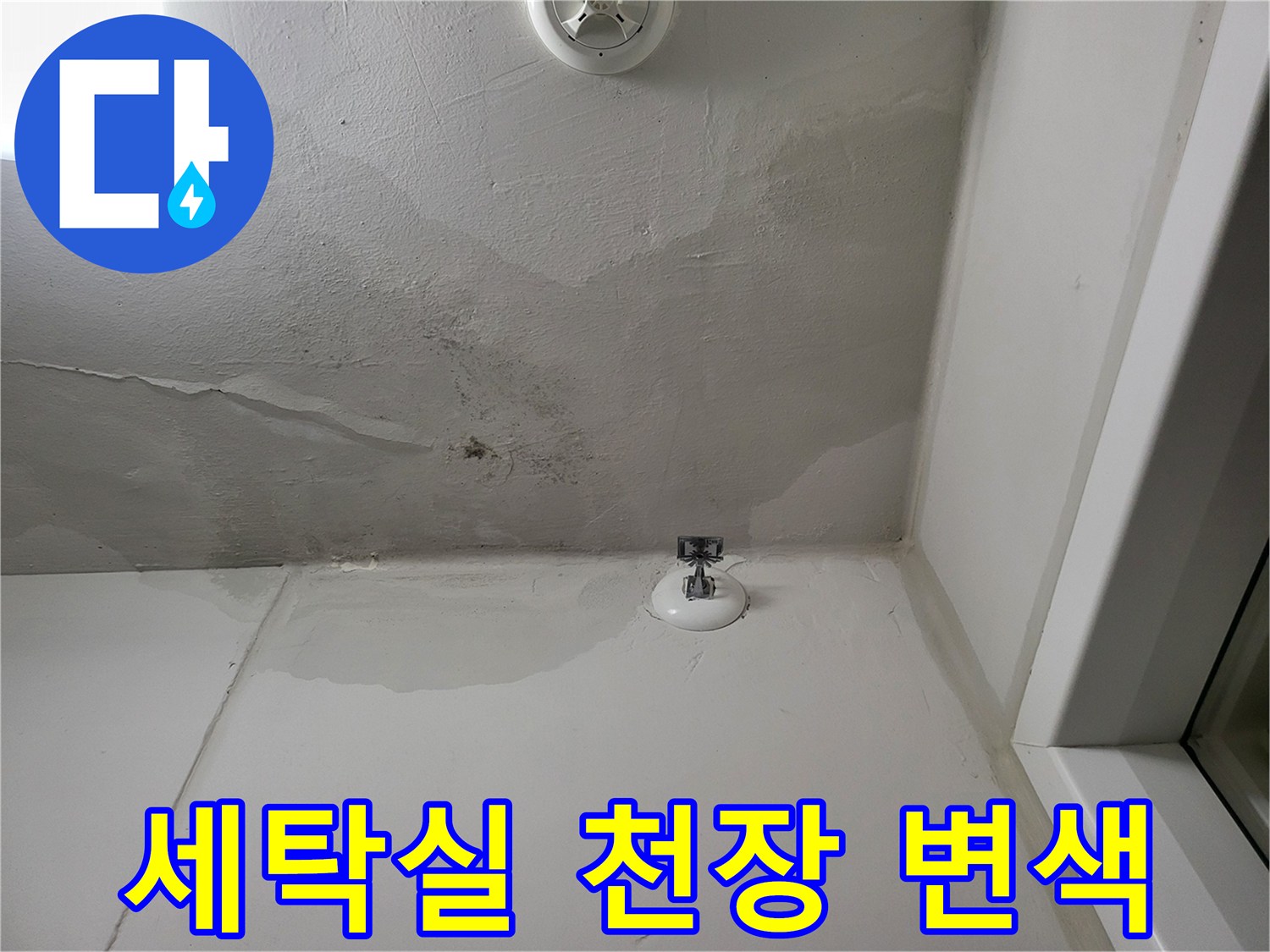 화성 동탄 세탁실-천장 누수 흔적과 변중 상태