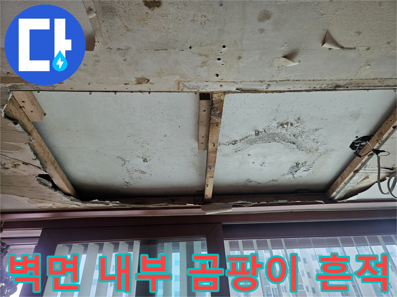 상동 아파트 현장-벽체 절개 부위의 누수 흔적과 곰팡이 발생 상태