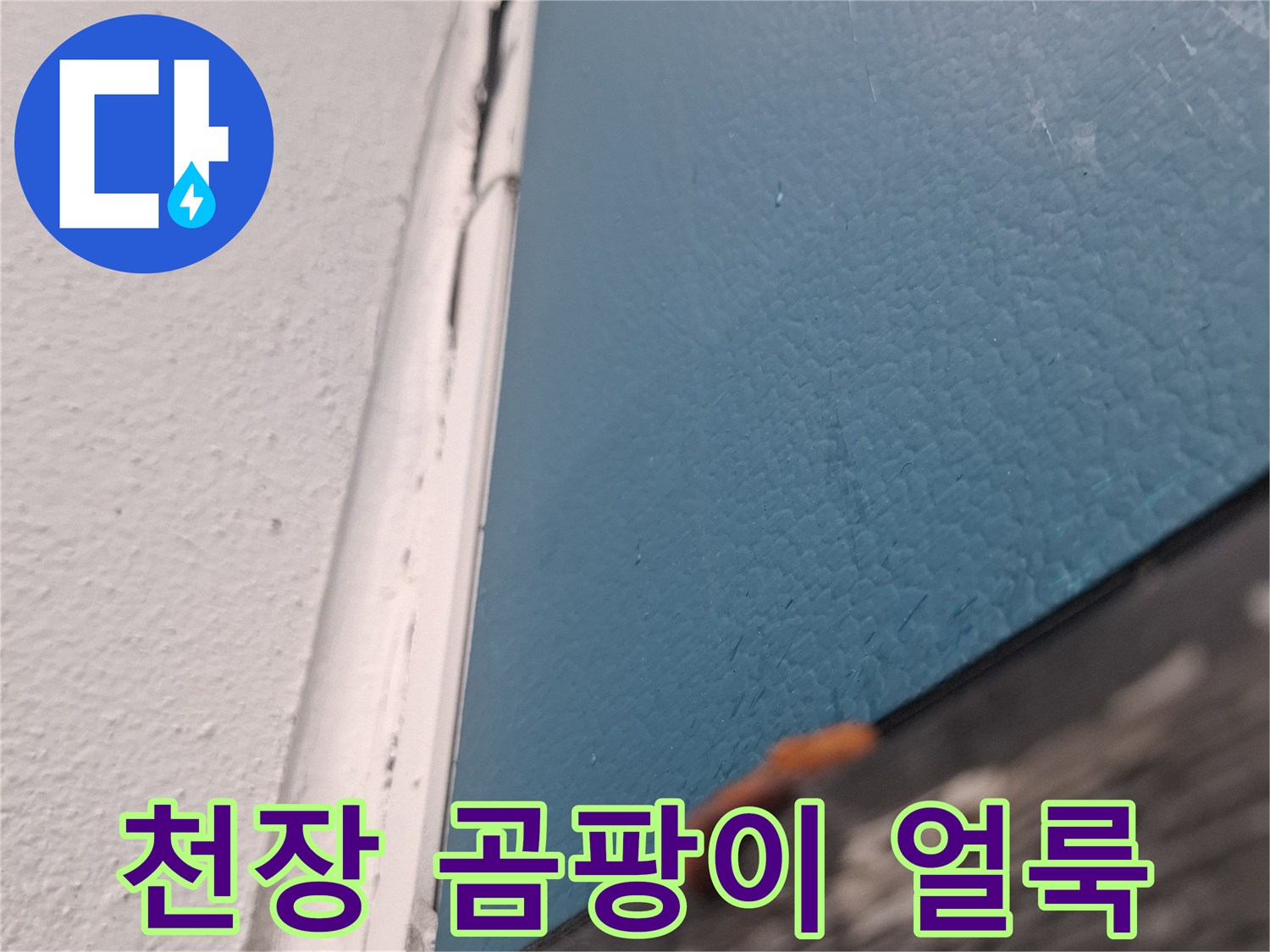 습기가 스며든-아래층 거실 천장의 곰팡이와 물자국