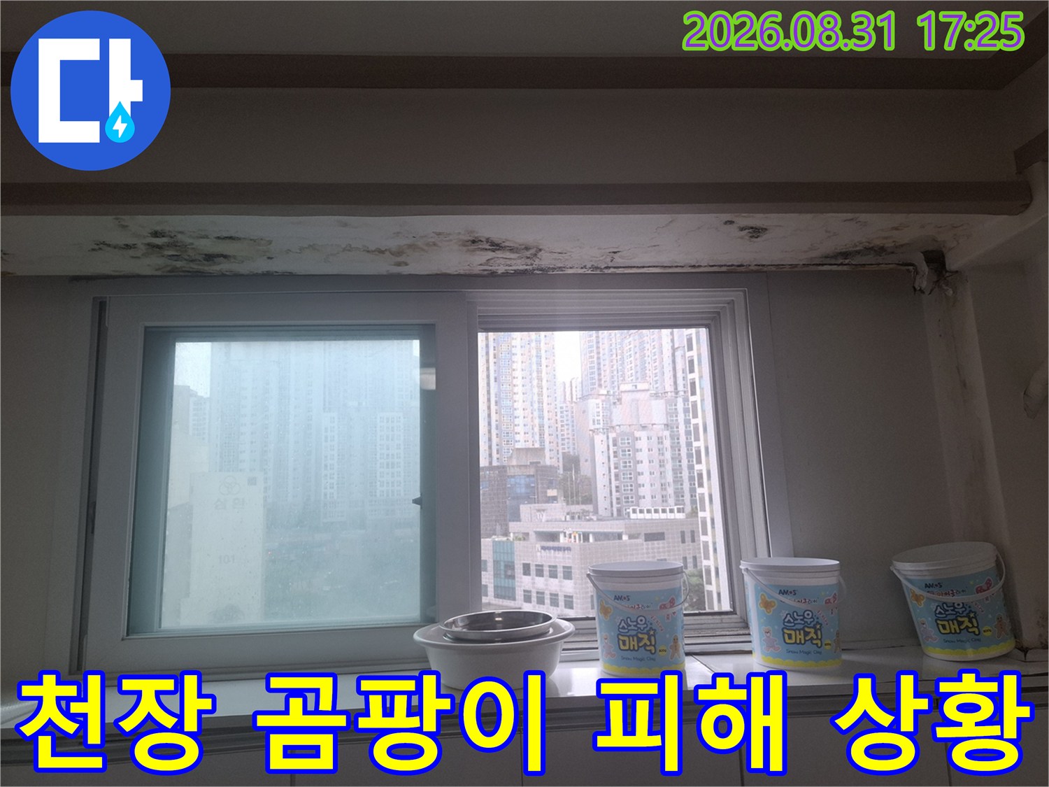 창가 천장 몰딩 부위의 심한 곰팡이와 변색된 벽지