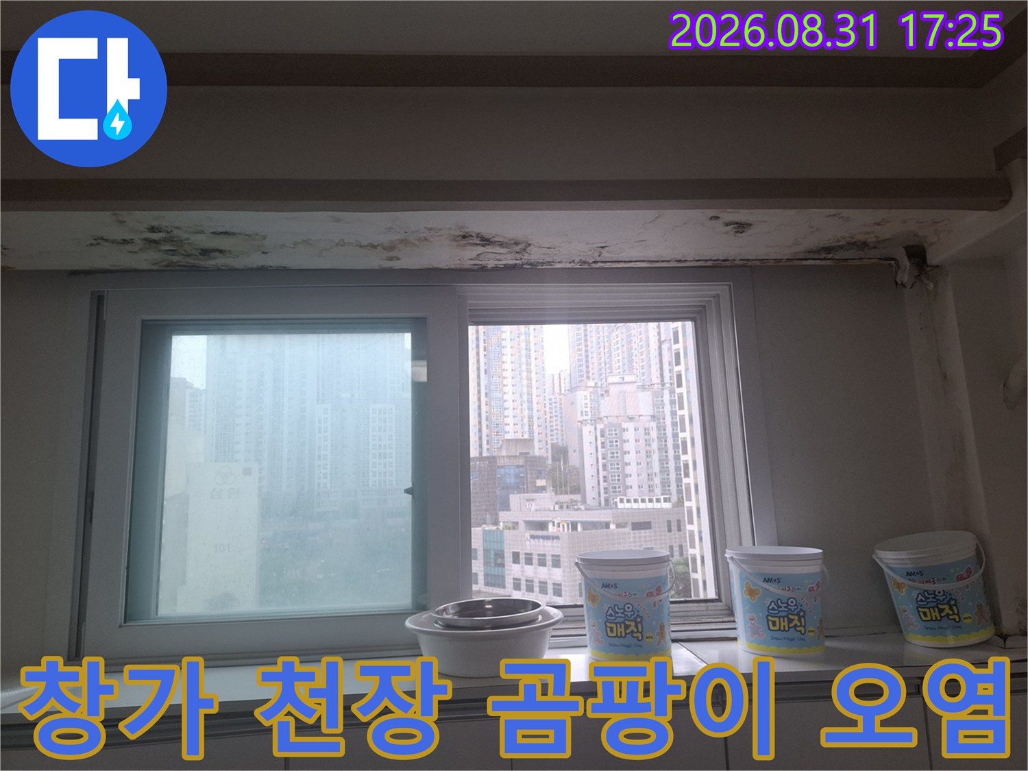 창문 위쪽 천장 마감 부위의 검은 곰팡이와 물 얼룩