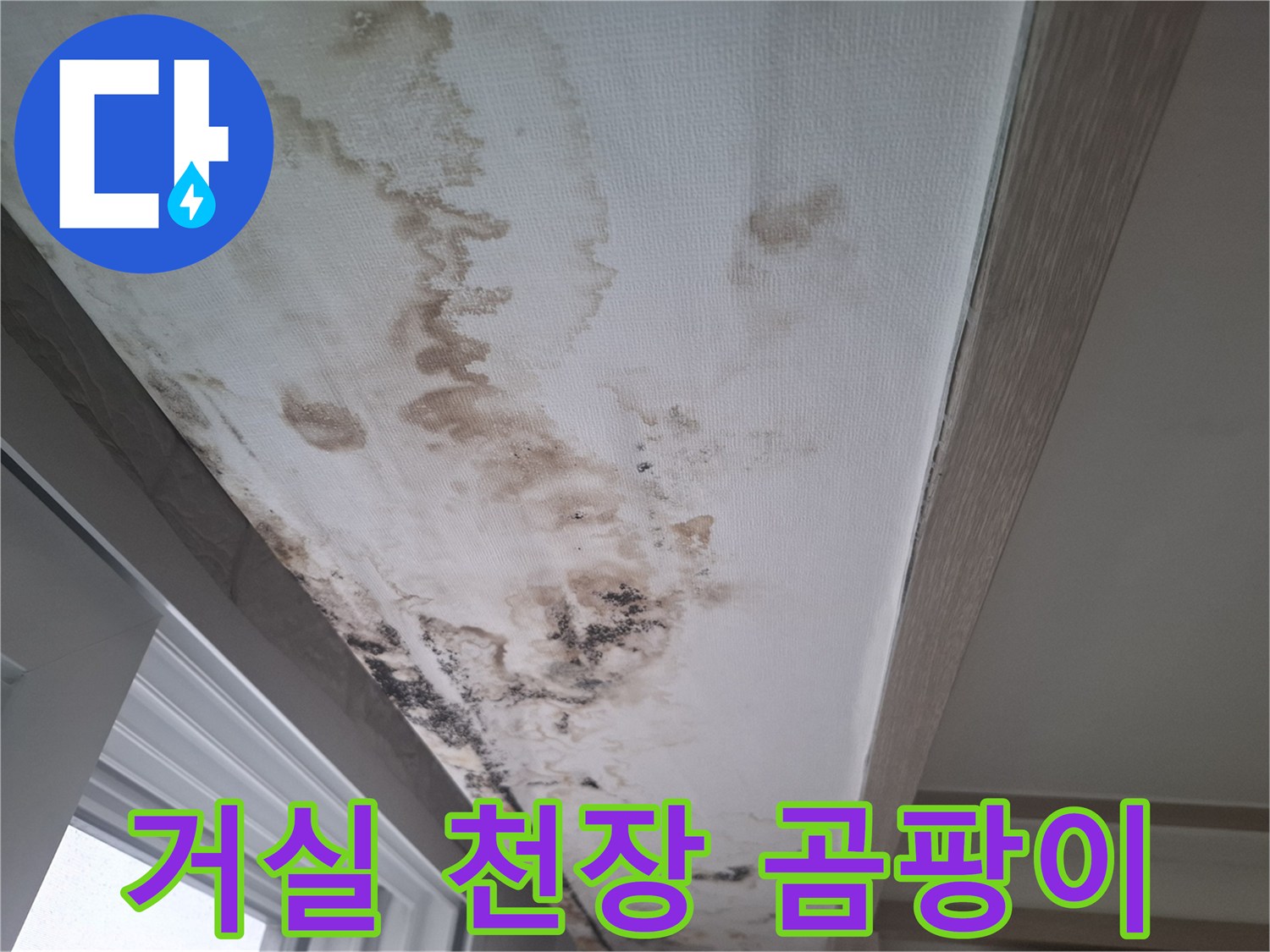 천장-마감재-내부로-스며든-누수-및-곰팡이-발생